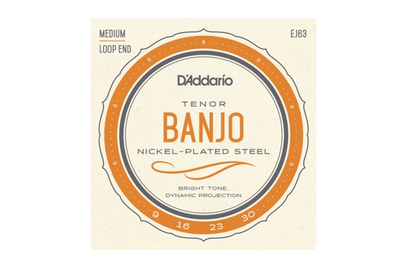 D'Addario EJ63 Tenor Banjo image 1