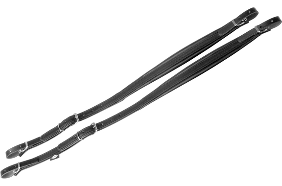 Correas Estándar Alpenklang Para Acordeón 72/96 Bajos image 1