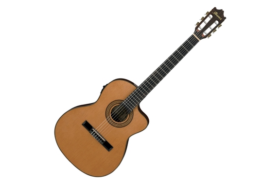 Ibanez GA5TCE-AM 4/4 Guitare Classique Amber image 1