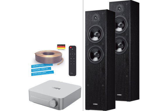 WiiM AMP / Yamaha F51 Streaming Stereo Set zilver image 1