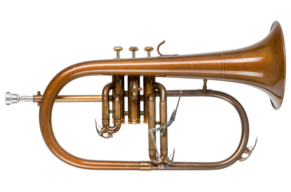 Lechgold FH-60GV Bb-Fliscorno antiguo image 1