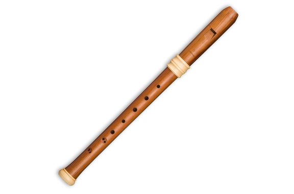 Mollenhauer TE-4318 Alto Recorder Dream Edition Plum image 1