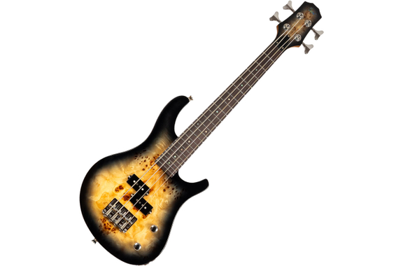 Flight Mini Bass Poplar Burl image 1