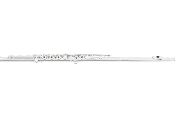Di Zhao Querflöte 401 RBE 925LR image 1