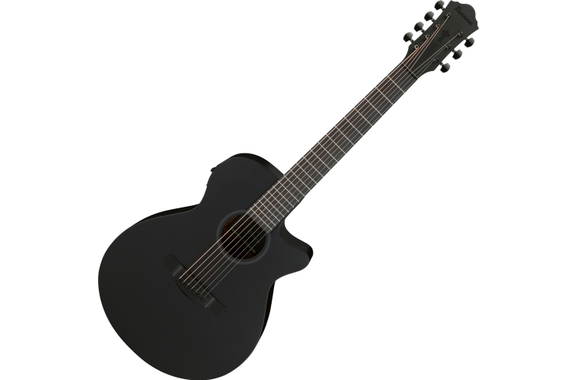 Ibanez AEG721-BOT Black Out image 1