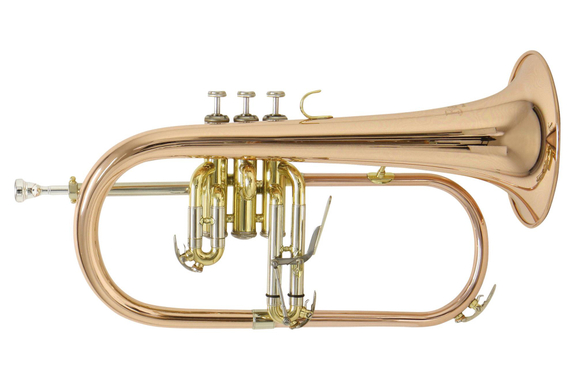 Bach FH501 Flügelhorn image 1