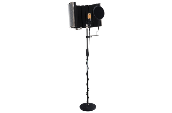 Pronomic CM-100BG Large-Diaphragm Microphone Complete Set incl. Stand, Pop Filter, Micscreen & Cable image 1