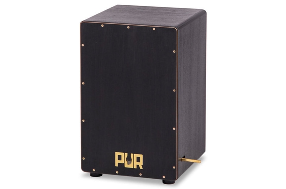 PUR Vision Pro Black & Gold image 1