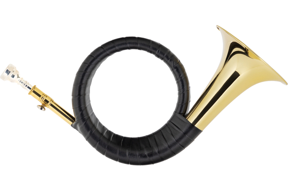 Classic Cantabile FPH-100 Fürst-Pless-Horn image 1