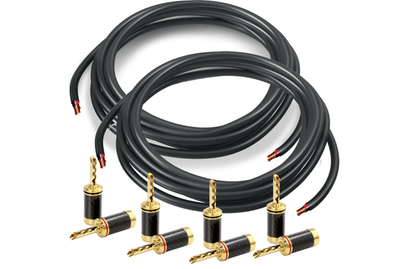 Câble Haut-Parleur Pronomic avec Fiches Bananes Creuses 5m Lot de 2 image 1