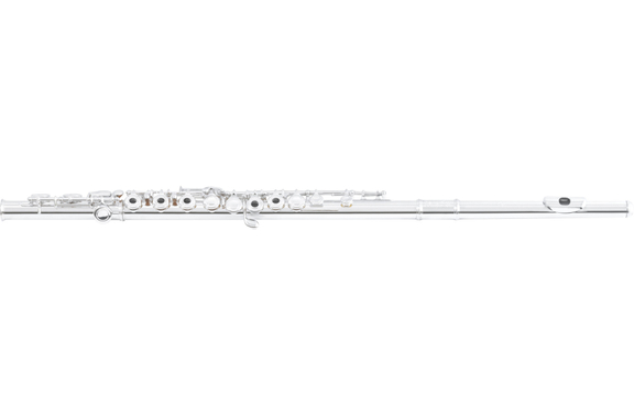 Di Zhao Dwarsfluit 501 RCE image 1