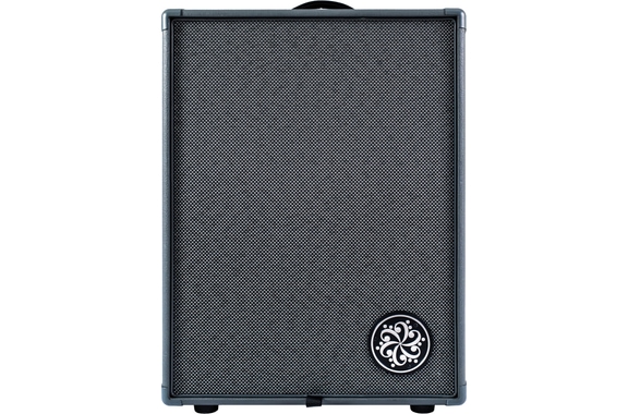Darkglass Infinity 500 Combo 210 image 1