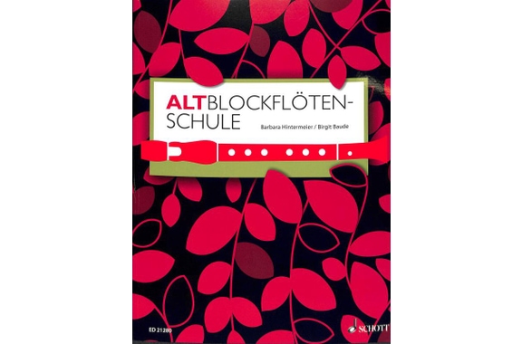 Altoblokfluitlesmethode image 1