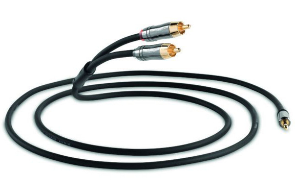 Câble Y QED Performance J2P Graphite Jack/RCA 1,5m image 1