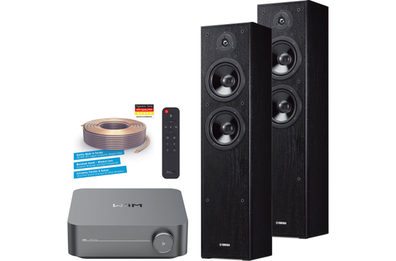 WiiM AMP / Yamaha F51 Streaming Stereo Set grijs image 1