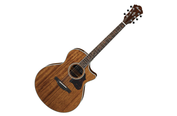 Ibanez AE245-NT Natural image 1