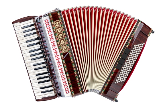 Zupan Alpe IV 96 EF/M Cassotto Accordeon Palissander image 1
