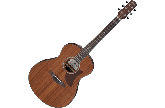 Ibanez AAM54-OPN Open Pore Natural image 1