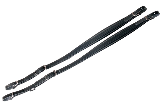 Alpenklang Akkordeonriemen Standard für Akkordeon 48 Bass image 1