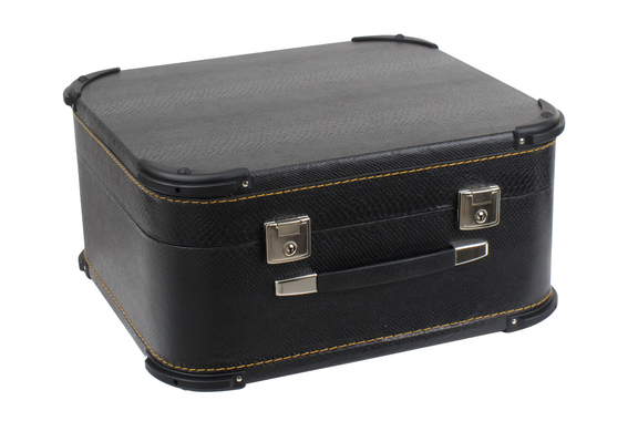 Valise Alpenklang pour Harmonica / Accordéon 48 Basses - Luxe image 1