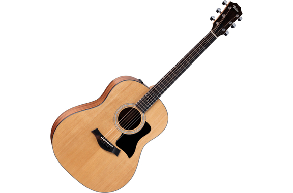 Taylor 117e image 1