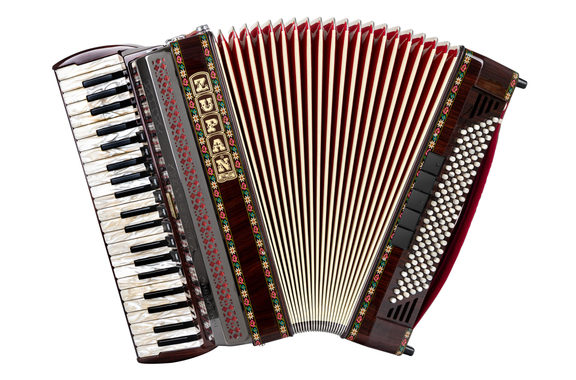 Zupan Alpe IV 120 EA/MHR Cassotto Accordéon Palissandre image 1