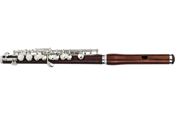Di Zhao Piccolo P301 Rosewood image 1