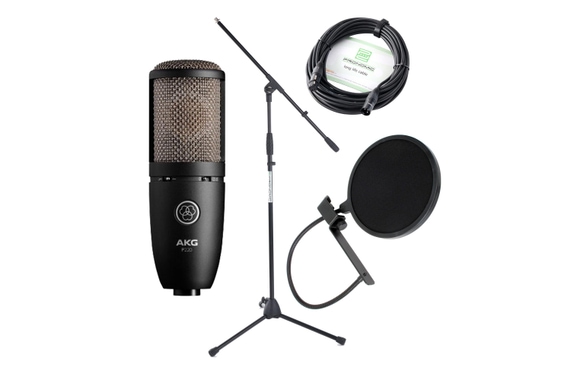 AKG P-220 Large-Diaphragm Microphone Set image 1