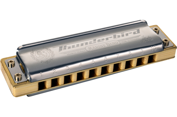 Hohner Marine Band Thunderbird Mondharmonica D-Low image 1