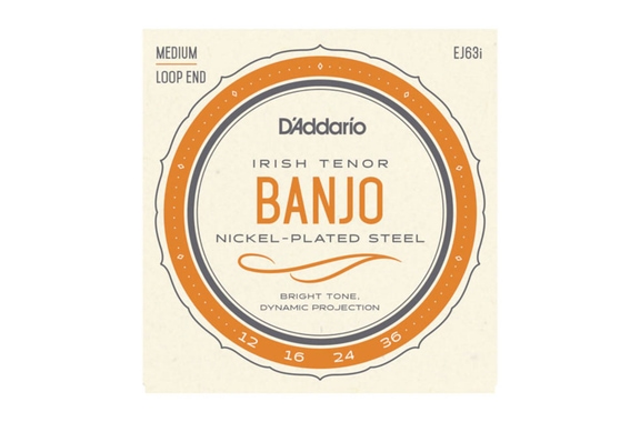D'Addario EJ63i Irish Tenor Banjo image 1