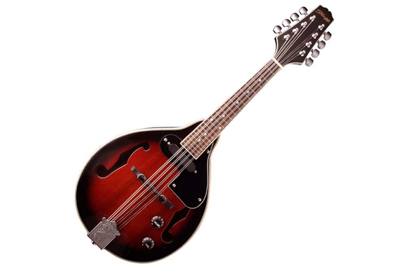 Stagg M50 E Mandolino Bluegrass image 1