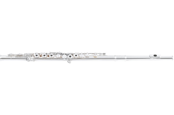 Flauto Traverso Di Zhao 601 RCE image 1