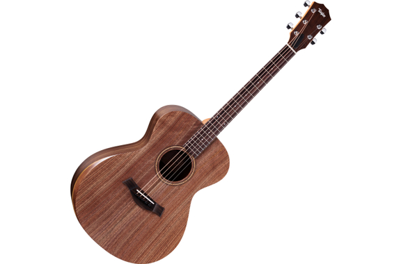 Jacob Collier Academy 22e 5-String image 1