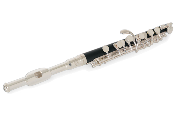 Classic Cantabile PF-300 Flautín image 1