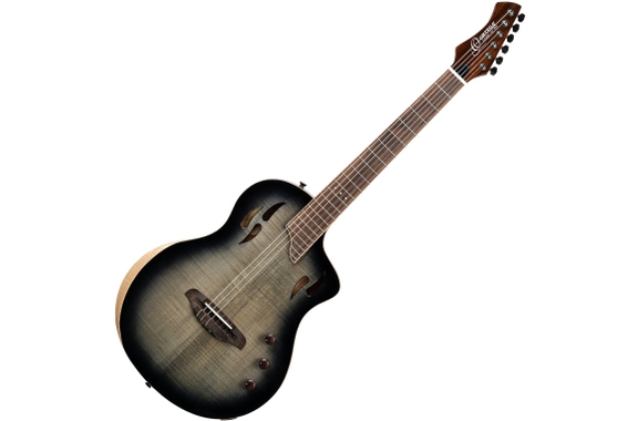 Ortega RTPG-LS1 Guitare Classique TourPlayer image 1