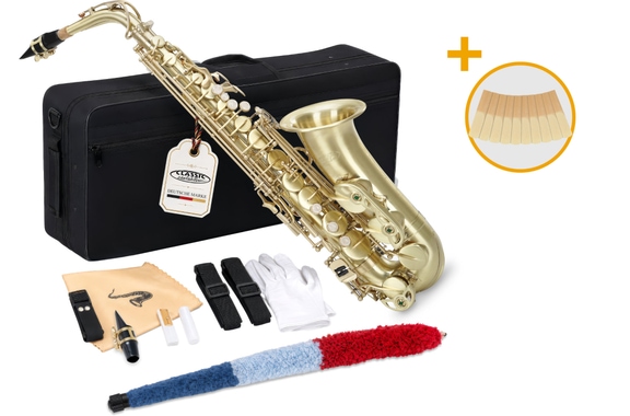 Classic Cantabile AS-450 Brushed Eb Set Saxophone Alto image 1