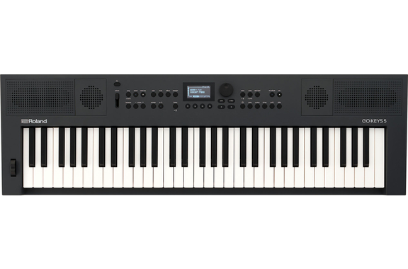 Roland Go:Keys 5 Graphite image 1