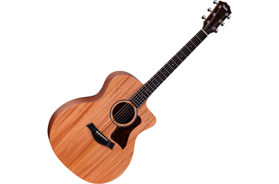 Taylor 24ce image 1