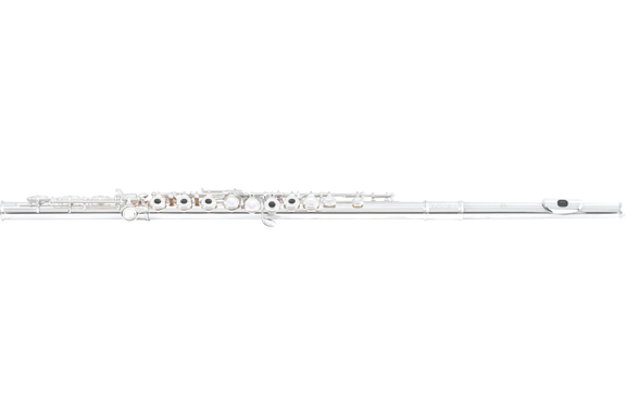 Flauto Traverso Di Zhao 501 RBE image 1