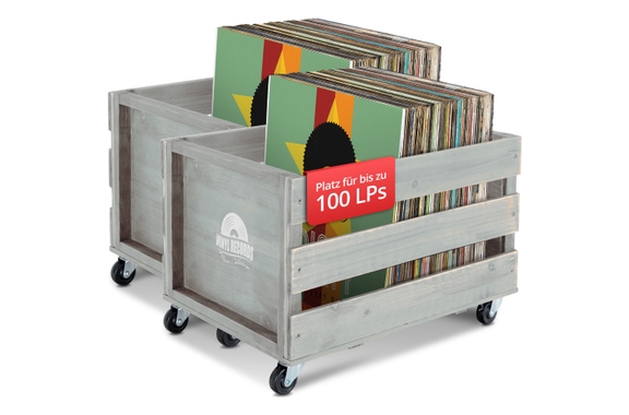 Stagecaptain SPK-100 GY Record Crate "Emil" Gray 2x Set image 1