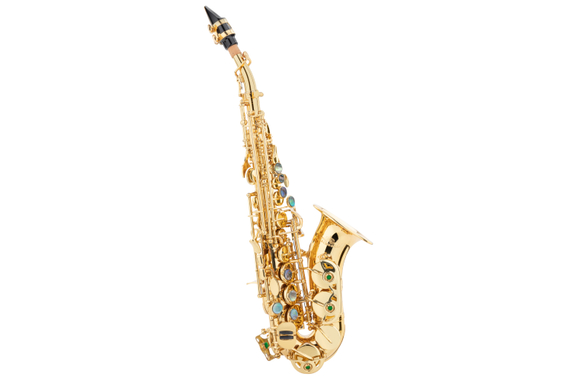 Lechgold LSS-20Lc Sassofono Soprano verniciato image 1