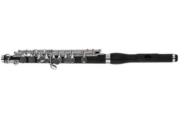 Di Zhao Piccolo Flute P201 Grenadilla Lip Plate image 1