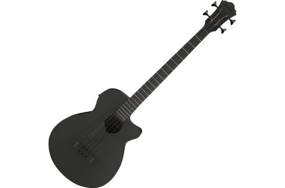 Ibanez AEGB420-BOT Acoustic Bass Black Out image 1