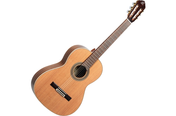 Ortega R20GSNWN Traditional Series 4/4 Guitare Classique image 1