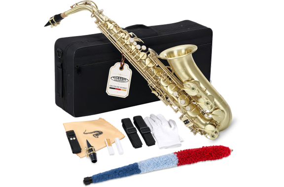 Classic Cantabile Winds AS-450 Brushed Eb Alto Saxophone image 1