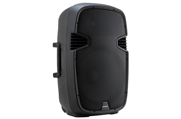 McGrey P215 MP Enceinte Passive 800 Watts image 1