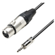 Adam Hall K5 MYF 0300 XLR/3,5mm Jackkabel 3m