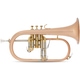 Lechgold FH-60GB Bugle en Sib brossé