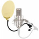 Pronomic CM-100S Microphone à Condensateur Studio Argent Set incl. Protection anti-pop dorée