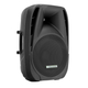 Pronomic PH15 Passive Speaker Cabinet 190/350 Watt